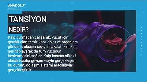 Tansiyon Nedir? Yüksek ve Düşük Tansiyon Belirtileri