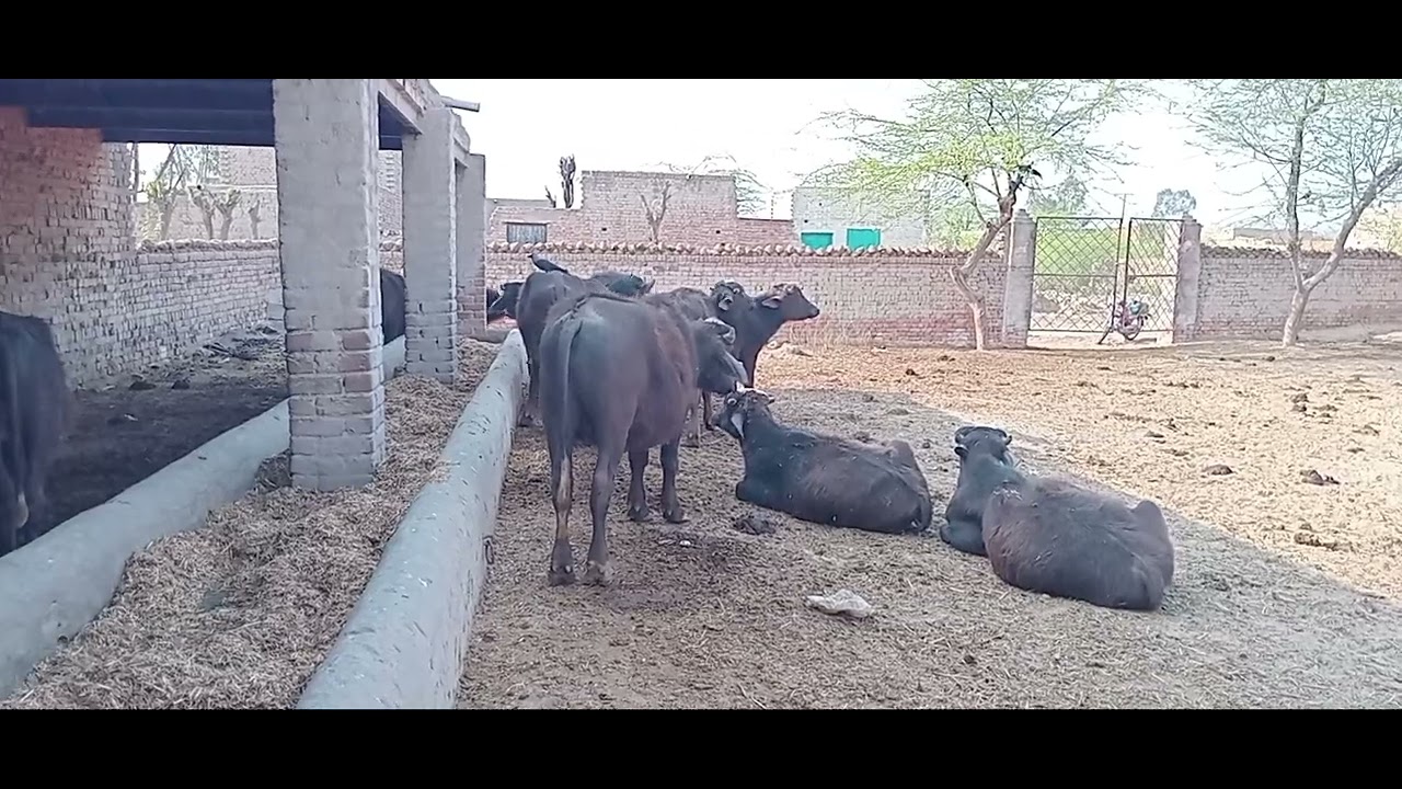 Easy Profitable business 