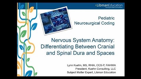Pediatric Neurosurgical Coding: Differentiating Between Cranial and Spinal Dura and Spaces