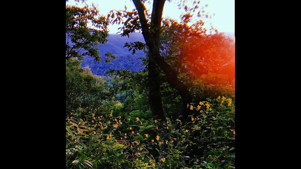 Guarda "SOLiPSiSM" (i) by NOALIASAQUARIUS (Full Album) su YouTube Guarda "SOLiPSiSM" (i) by NOALIASAQUARIUS (Full Album) su YouTube