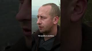 Wild Balkan berries keep gin taste steady as climate shifts | AFP