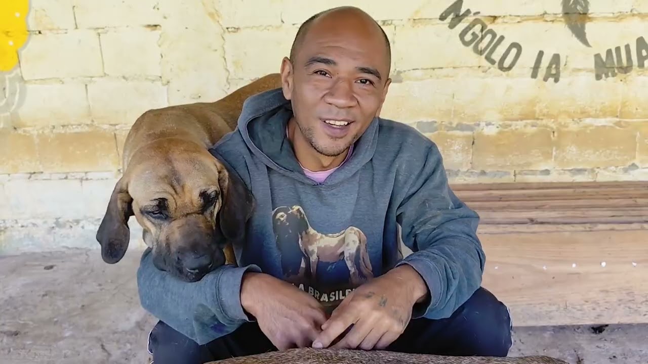 O futuro na chácara Teramoto, cadê o Tupinha? #cachorro #filabrasileiro #pets