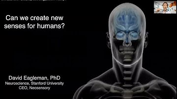David Eagleman: New Senses for Humans, presented by NeuroCollege (www.neurocollege.org)