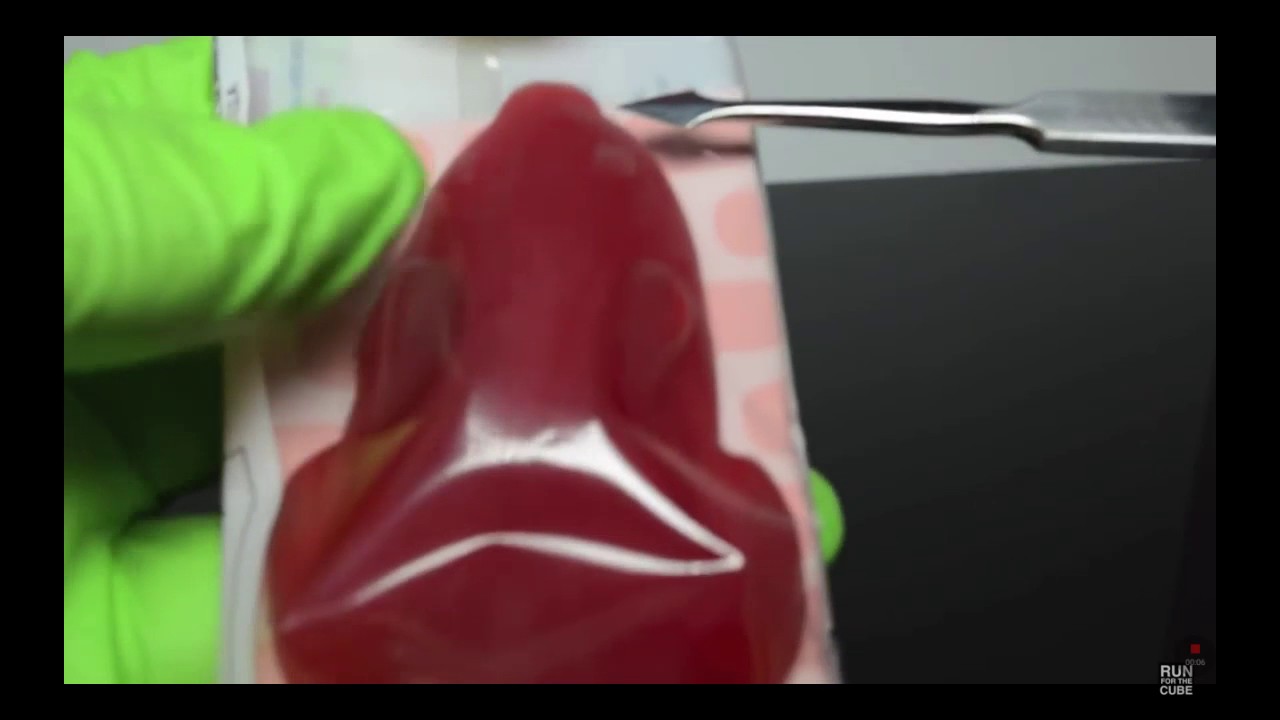 Jelly Belly pet rat YouTube