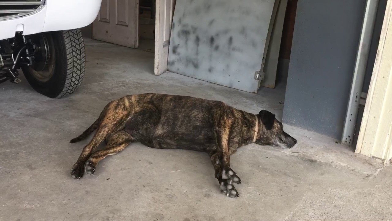 Shaw's Garage 1941 Street Gasser Project Update 3 YouTube