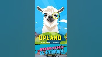 Be the Ultimate Tycoon of Miami | Sweat wallet learn and earn correct answers