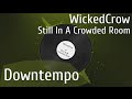 Downtempo wickedcrow  still in a crowded room