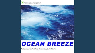 Ocean Breeze 1