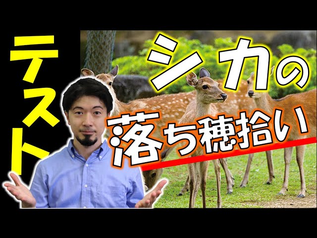シカの落穂拾い テスト90点対策 東大合格請負人 時田啓光 合格舎 Youtube