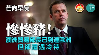 20211008B 慘慘豬！澳洲貿易部長已到達歐洲，但卻遭遇冷待｜芒向早晨