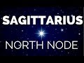 NORTH NODE SAGITTARIUS (SOUTH NODE GEMINI) | Karma/Past Lives | Jan Spiller | Hannah's Elsewhere