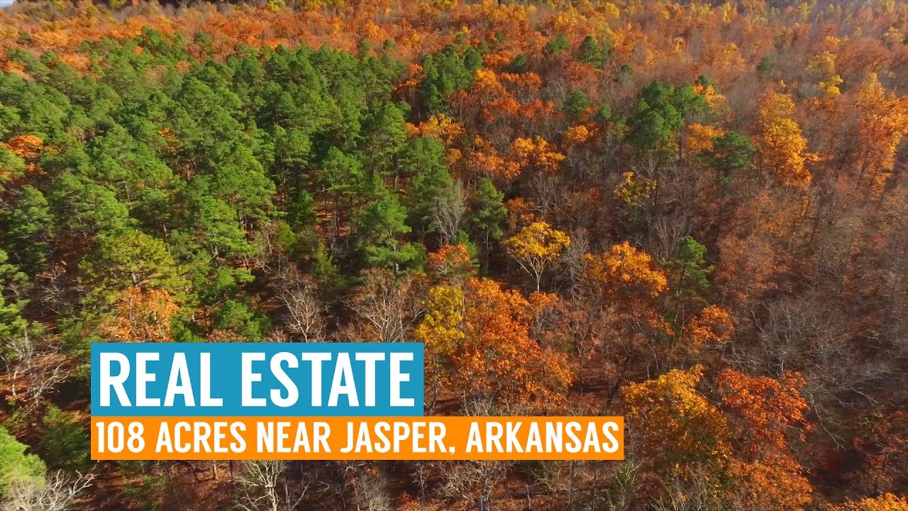 Real Estate 108 Acres near Jasper, Arkansas YouTube