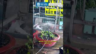 CR7 BLUE NOZZLE 100L – FLEXIBLE SPRAY, EASY TO ADJUST FOR EVERY GARDEN!#cr7 #sprinkler  #ldpepipe