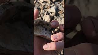 who is he??¿ Century-Old Secrets Revealed: Mudlarking for Historical Treasures