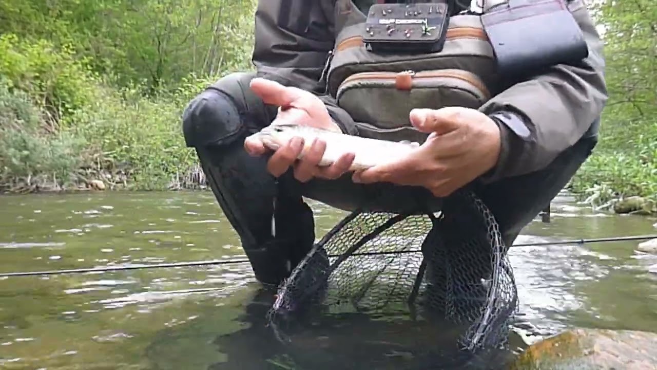 Pêche en nymphe au fil ou "Euro-nymphing" avec Dipteria, Moniteur guide de pêche dans les Pyrénées