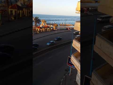 ميامى الاسكندرية