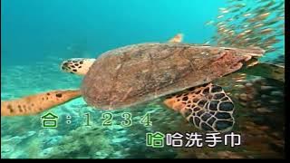 洗手巾(二)~客語~合Eb調~伴奏~導唱~金嗓(甲)