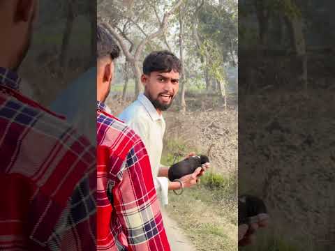 छोटा puppy और बजरंगबली 🙏🚩|| जय श्री राम || #ramji #hanumanji #shorts #shortsfeed || vikas2in1