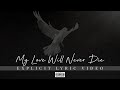 Dani and lizzy  my love will never die explicit lyric