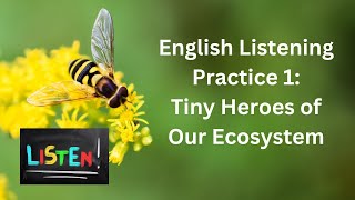 English Listening  | Bees: Heroes of Our Ecosystem Bees | Intermediate Level