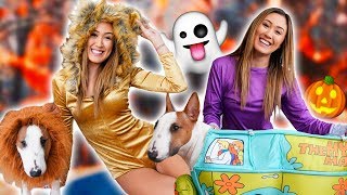 Trying On Halloween Costumes With My Dog