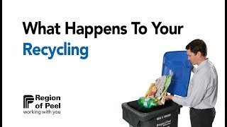 What happens to your recycling