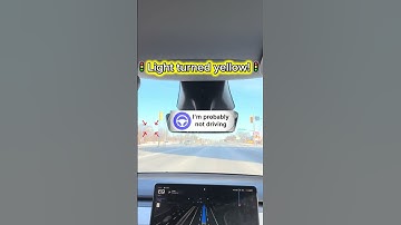 Tesla FSD slams brakes on yellow! Panic or smart move?