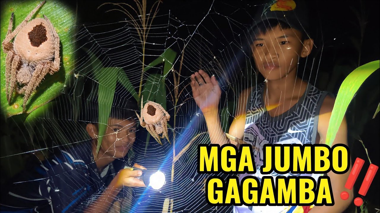 GRABE ANG DAME AT ANG LALAKI NG MGA GAGAMBA 😱‼️