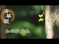靜思妙蓮華 法華經 如來神力品 談空說有 顯淨微妙 第1771集 20240925 靜思妙蓮華 法華經 如來神力品 談空說有 顯淨微妙 第1771集 20240925