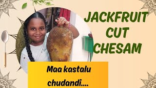 e roju Maa kastalu chudandi ,JACKFRUIT cut chesam#shortsvideo #video #vlog