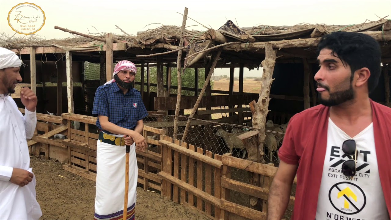 يوميات راعي الكحيلة (جهاز التتبع)