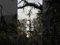 知っていますか?神様の歓迎のサインを見た後は必ず良いことがあるんです‼︎ #Shorts
