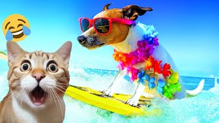 Cat's Out of the Bag, Dog's on a Board: Totally Rad Animal Antics!
