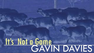 Gavin Davies - It's Not a Game
