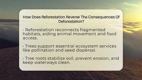 How Does Reforestation Reverse The Consequences Of Deforestation? - Ecosystem Essentials