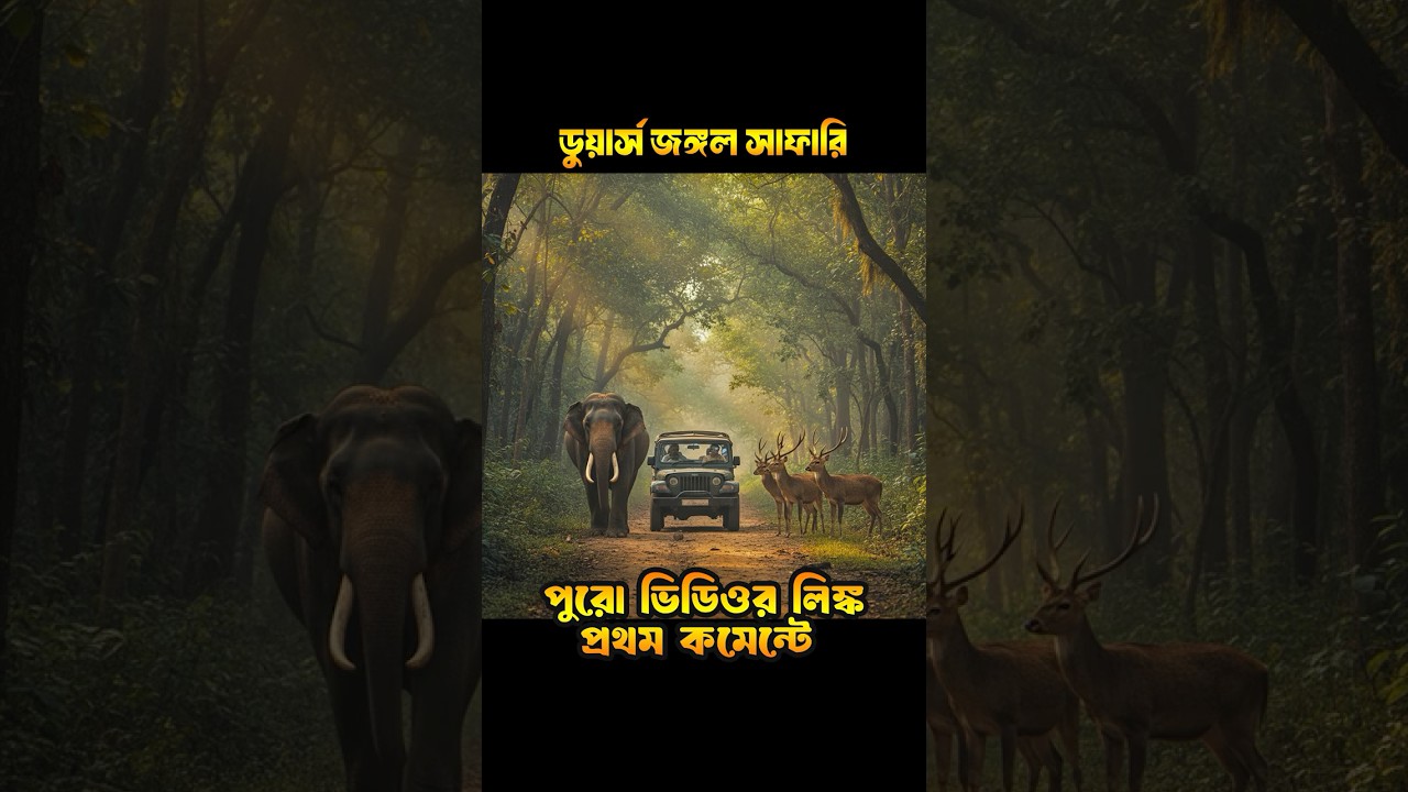 Dooars Jungle Safari 