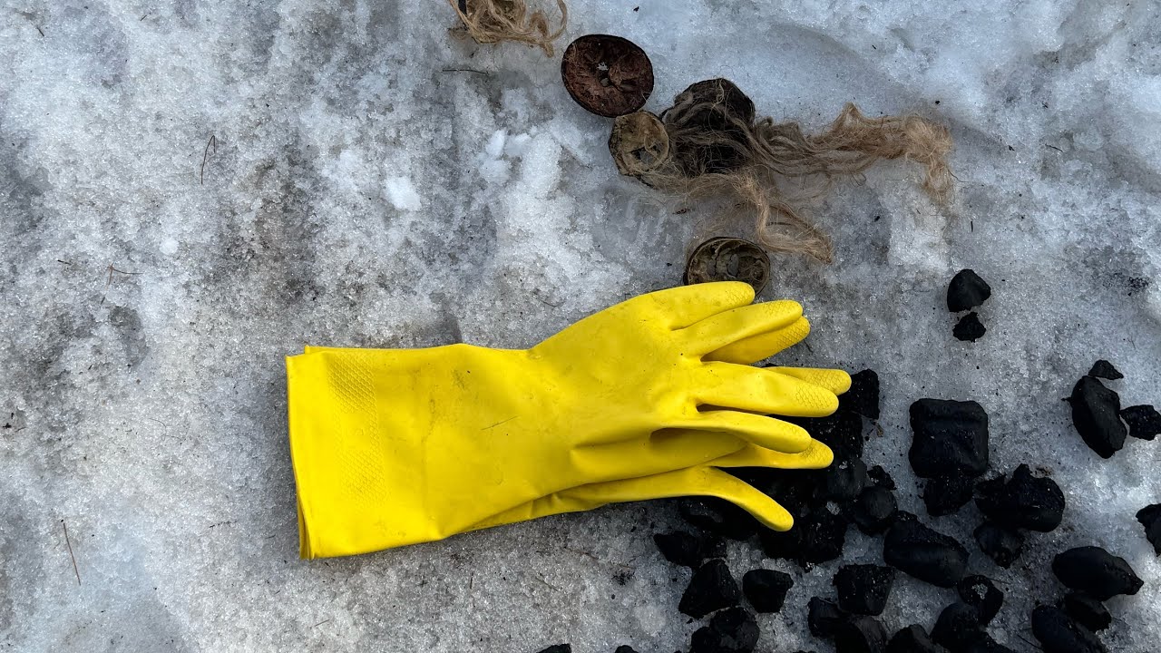 медведи в Центральном парке Нью-Йорка || polar bearfest 