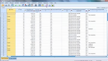 Formation SPSS : Importation et codage automatique des données sur SPSS