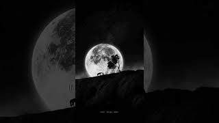 Alone|Lyrics #song#lyrics#alanwalker