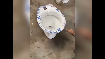 E.W.C. CLOSET PACKING backbone ceramic