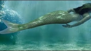 Download lagu Samaki Mtu Akiwa anaogelea Baharini Kweli ni Maajabu Samaki Mtu Akiwa anaogelea Baharini Kweli ni Maajabu