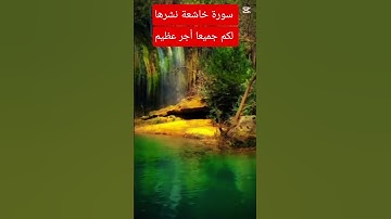 #القرآن_الكريم #متابعه_ولايك_فضلا_وليس_امرآ #سورة_يس