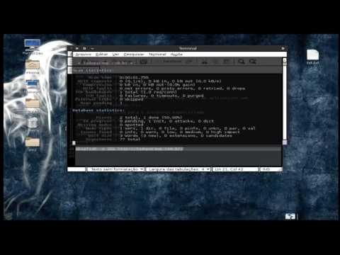 SKIPFISH:writing the output to the specified directory