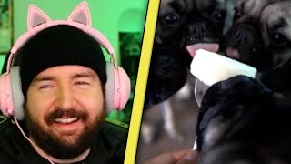 Sturmwaffel REAGIERT auf Die HUNDE WELPEN lernen SCHWIMMEN! | Welpen Vlog #4