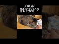 猫と知恵比べをした結果、まさかのこうなりました【元野良猫ピースケ】 #shorts #初老夫婦とねこ #元野良猫 #ピースケ