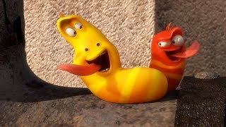 larva pipe cartoons for children larva full episodes cartoons for children