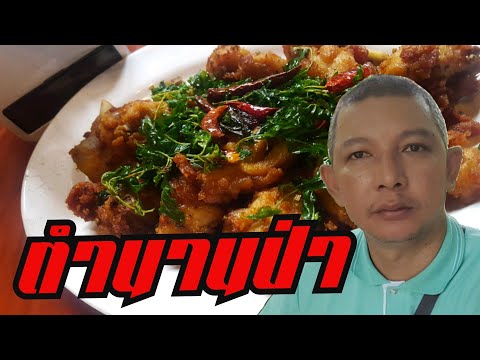 ร้านอาหารตำนานป่า ระยอง สุดยอดร้านอาหารบรรยากาศป่าๆ | ชิ้นชวนกิน