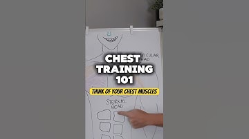 Chest Anatomy Explained: How To Train Every Part Of Your Pecs
