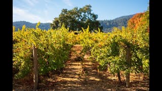 2008 Cakebread Cellars Benchland Select Cabernet Sauvignon
