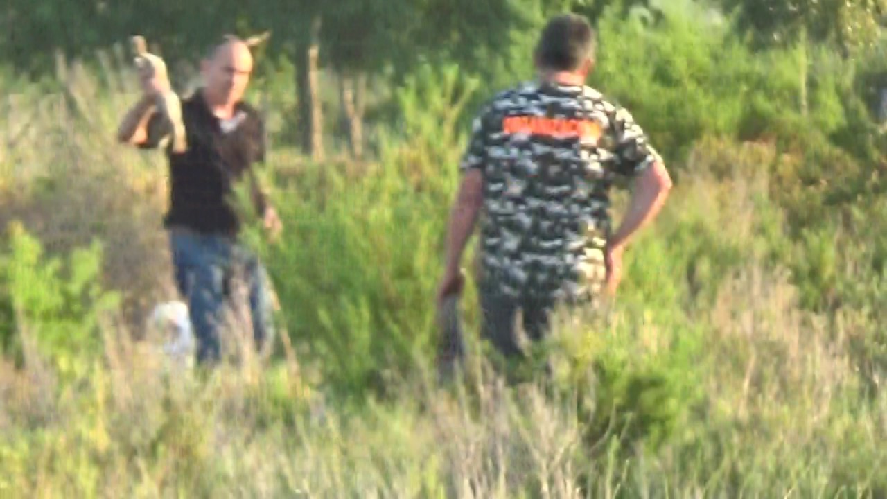 javier escalona sant jordi 2017. 3-6